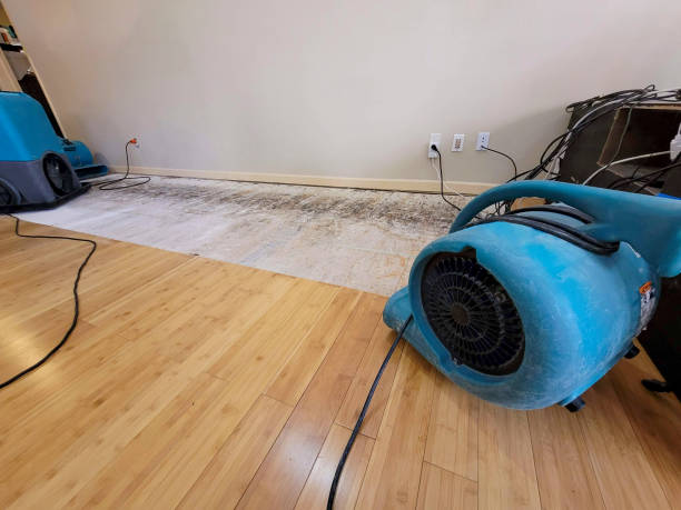 Professional Ceiling Water Damage Repair technician working in Bear Creek, WI